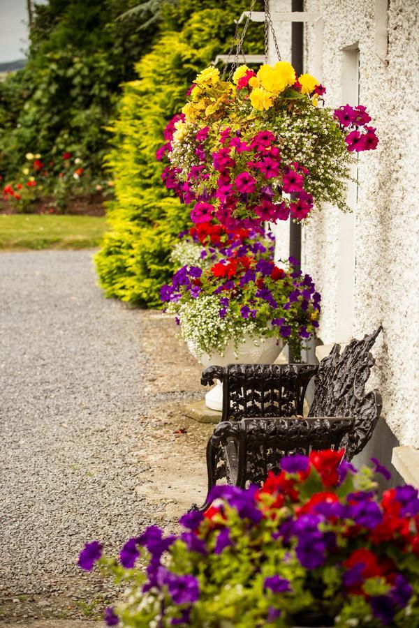 Glasha Farmhouse Guest House Ballymacarbry ภายนอก รูปภาพ